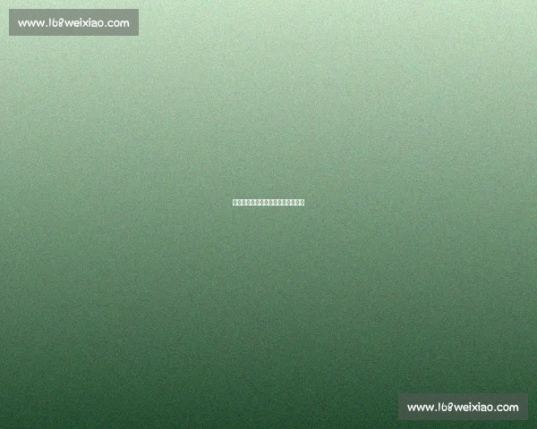 公牛王朝:乔丹与皮蓬的传奇兄弟情 公牛王朝:乔丹与皮蓬的传奇兄弟情