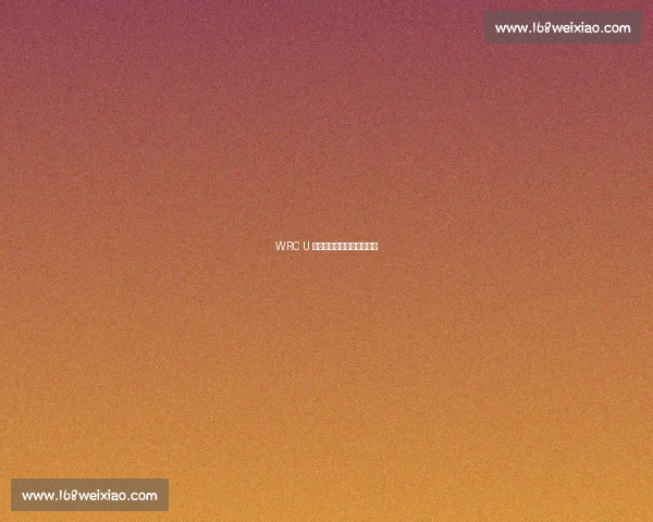 WRC U 型弯:方寸之间的策略博弈 WRC U 型弯:方寸之间的策略博弈