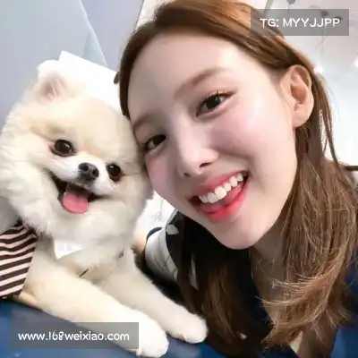 乔队舸